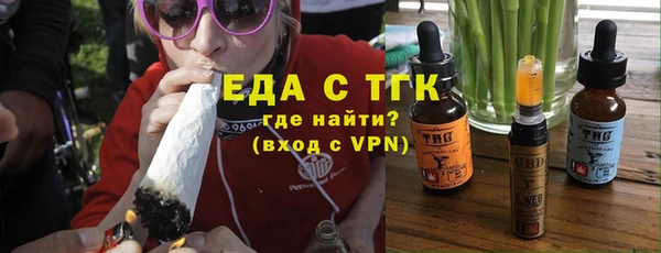 индика Бородино