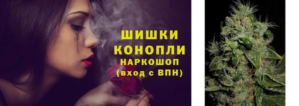 индика Бородино