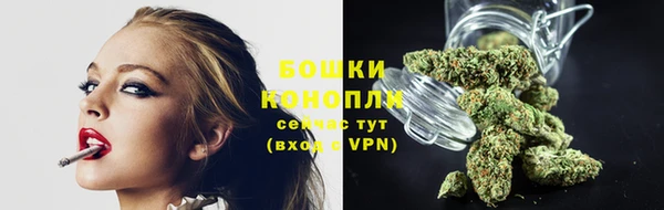 крисы Верея