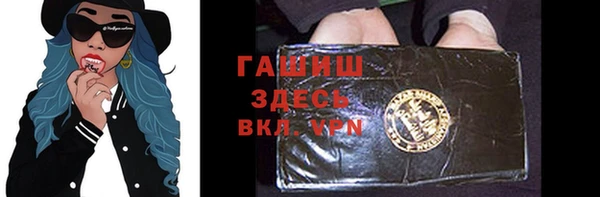 индика Бородино