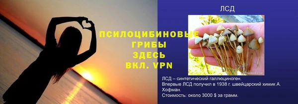 амф Бугульма