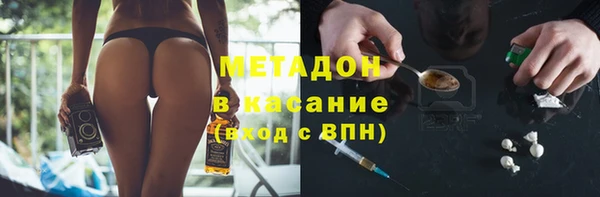 индика Бородино