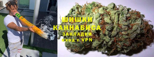 индика Бородино