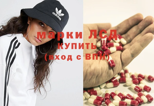 крисы Верея
