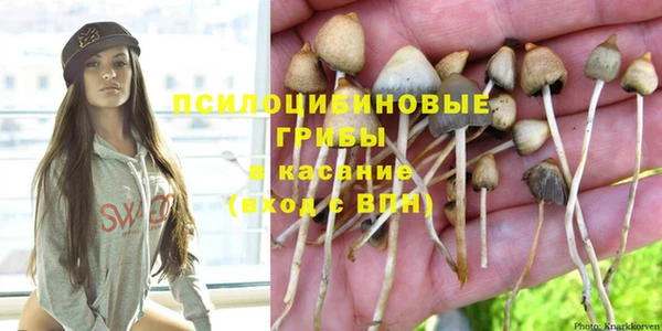крисы Верея