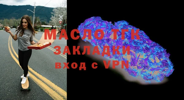 индика Бородино