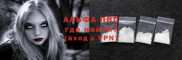 индика Бородино
