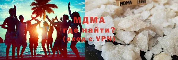 индика Бородино
