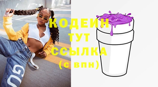 индика Бородино