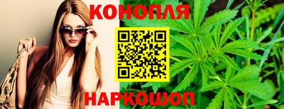 молекула духа Пенза