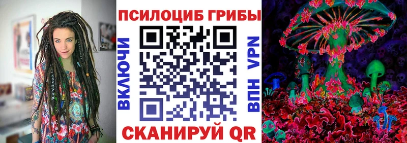 kraken   Вологда  Галлюциногенные грибы прущие грибы  наркошоп 