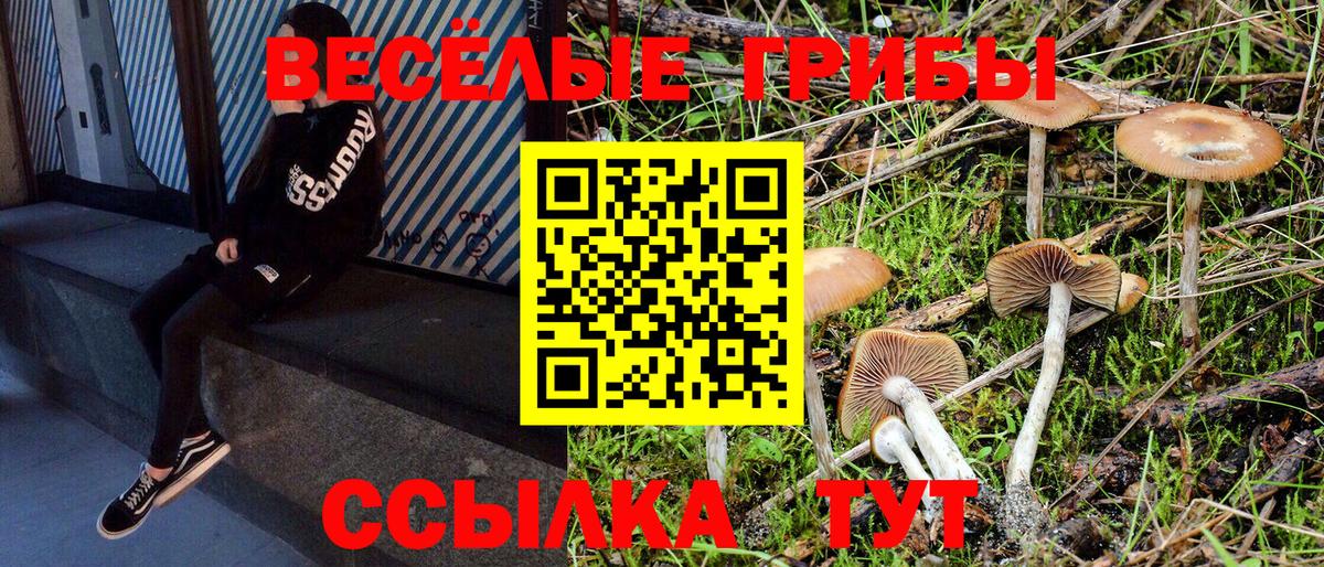 Галлюциногенные грибы ЛСД Вологда