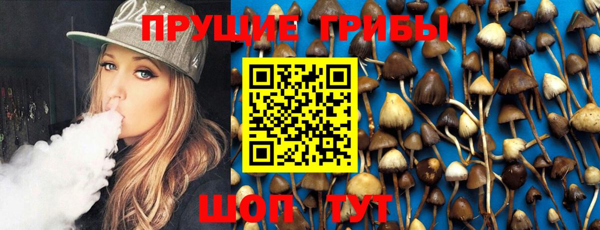 закладки  Галлюциногенные грибы Magic Shrooms  Вход с VPN  Вологда 