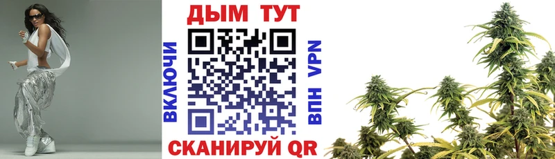 Бошки марихуана Amnesia  Вологда 